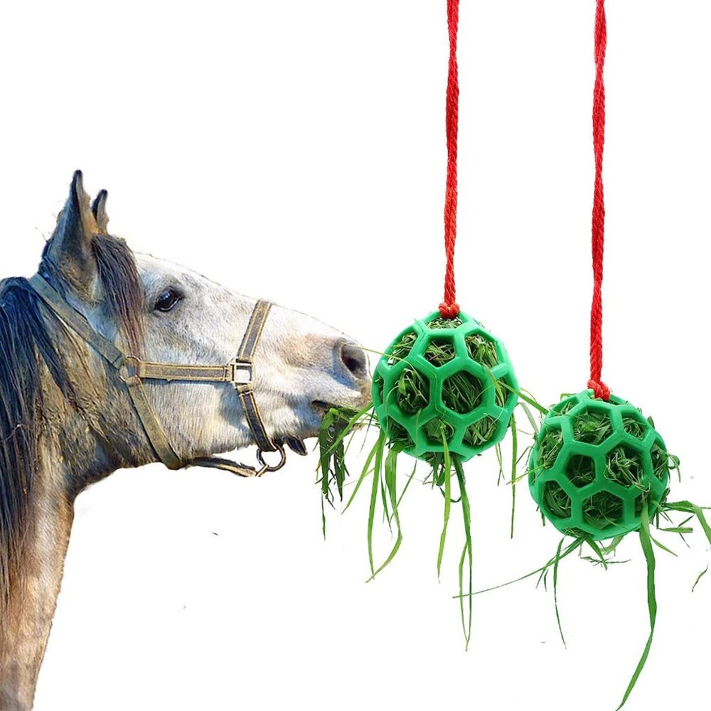 Horse Treat Ball Hay Feeder Toy Ball Hanging Feeding Toy
